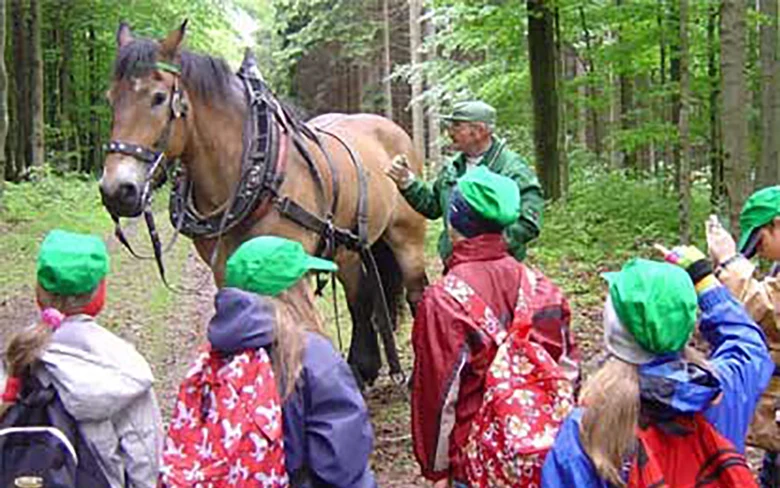 Rückung mit Pferd
